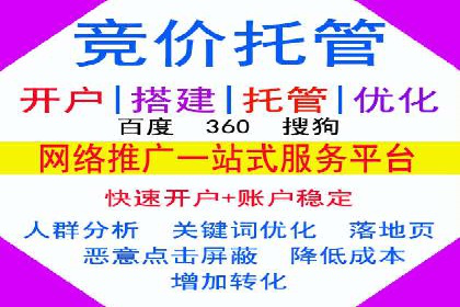 百度SEO推广公司经典之作：打造行业领先品牌